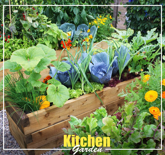 kitchen-gardening