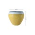 Yellow Apple Ceramic Port